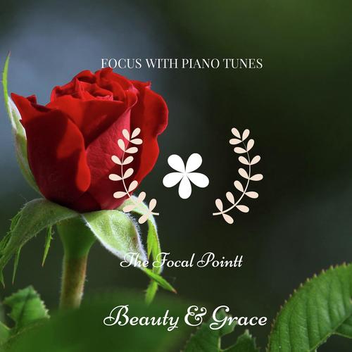 The Focal Pointt Songs MP3 Download